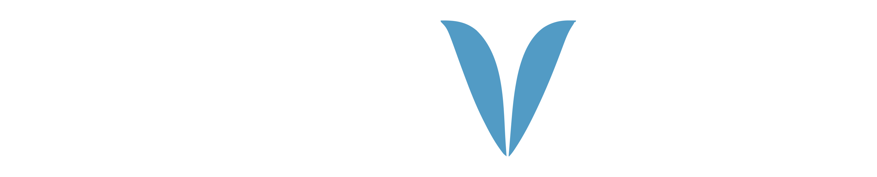 FonoVoz.cl